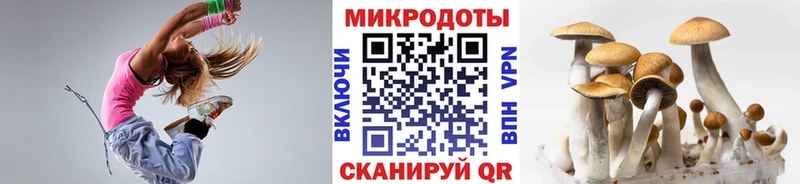 гидра вход  наркота  Мыски  Псилоцибиновые грибы Magic Shrooms 