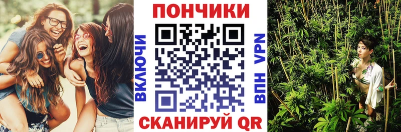 сколько стоит  Мыски  Бошки марихуана OG Kush 